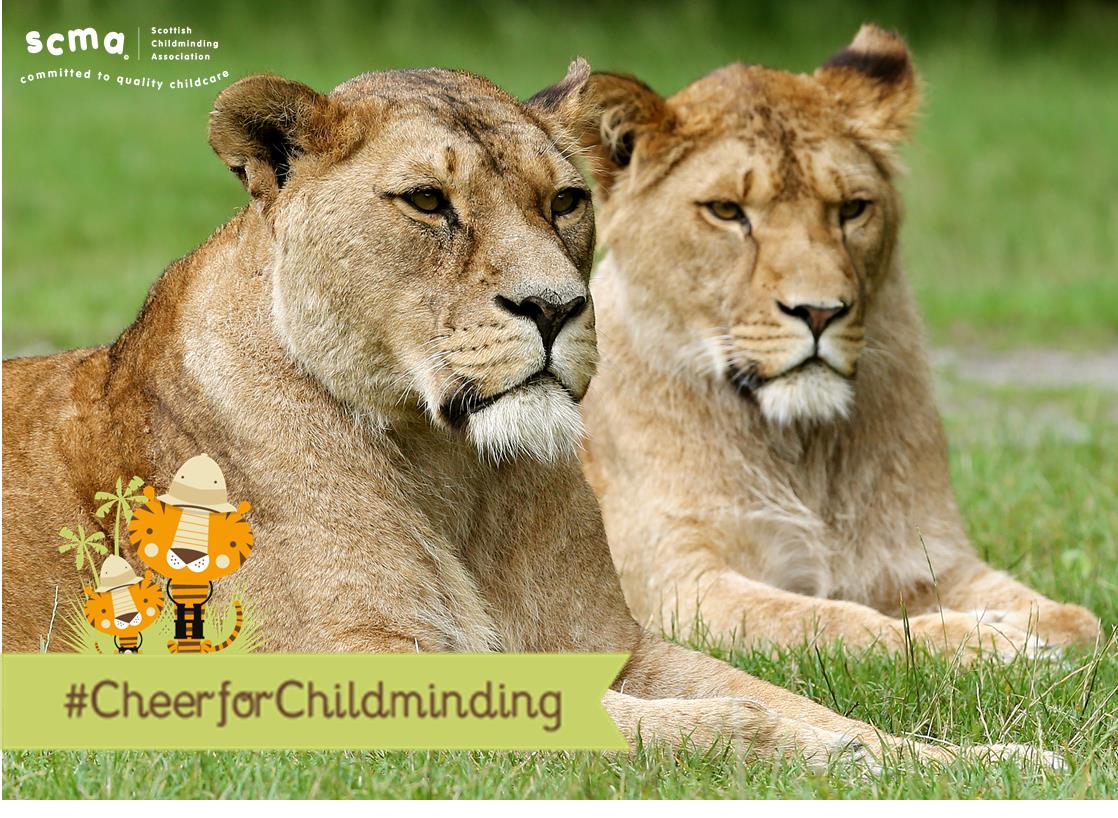 Your VIP Marquee at Childminding Day 2017