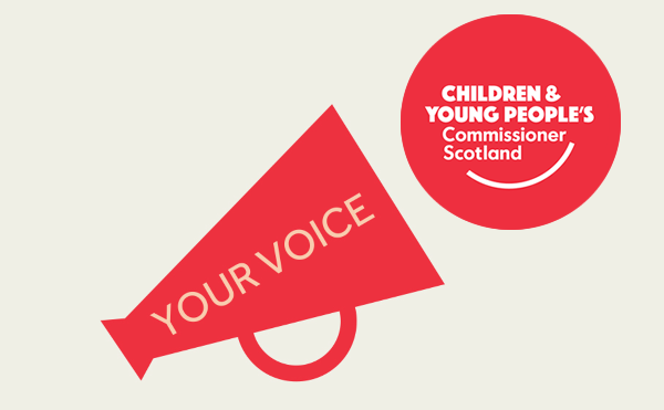 The Commissioner’s office is looking for six Young Advisers to tell them what to do